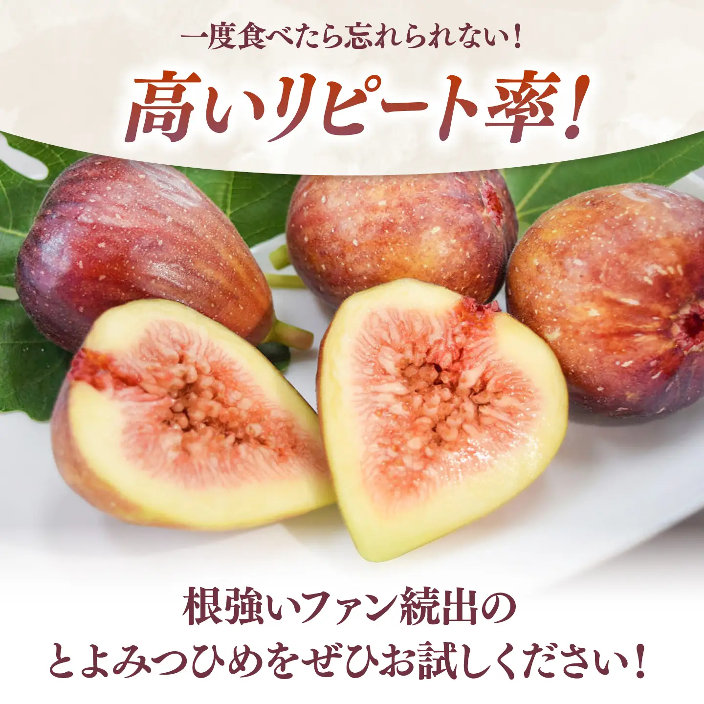 いちじく とよみつひめ 秀品 1.2kg [ADAY001] いちじく