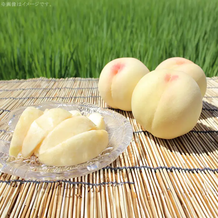 【ご家庭用】おかやまの桃 約1.3kg（5～6玉）【27年7月上旬以降に順次発送】