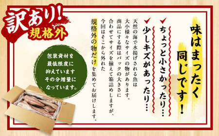 【訳あり規格外】  業務用 ほっけ干物  どーんと! 4.8kg 干物 ホッケ 縞ほっけ ほっけ