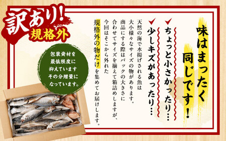 【訳あり規格外】  業務用 干物 詰め合わせ どーんと！ 5.3kg 3種 セット さば サバ 鯖 縞ほっけ ほっけ ホッケ あじ アジ 鯵 魚