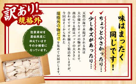 【2ヶ月定期便】【訳あり規格外】 業務用 あじフライ 約1.3kg