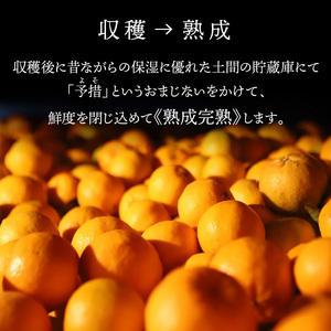 S117-011_香りを食す！熟成完熟天草ぽんかん 2月発送 約10kg箱 秀品〈先行受付〉