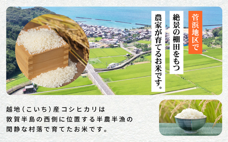 米 越地（こいち）産 コシヒカリ（普通栽培）令和5年産  計10kg（5kg × 2袋）[m24-a002]