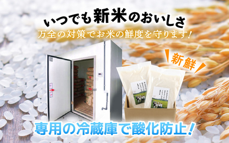 【先行予約】【令和7年産・新米】コシヒカリ（玄米）エコ栽培米 30kg（30kg×1袋）【2025年9月中旬以降順次発送予定】【福井県産 お米 ブランド米 玄米 精米 ご飯 おにぎり お弁当 和食】 [m26-d002]