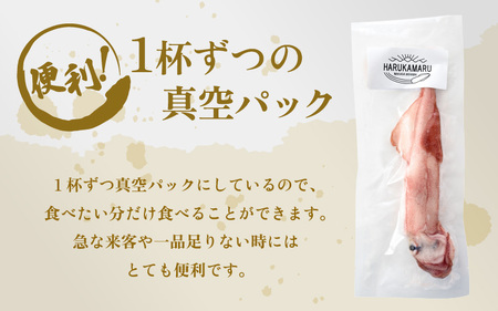 【先行予約】イカ お刺身で食べる 天然 ヤリイカ 約500g【2027年2月中旬以降順次発送予定】 活きたイカをご提供している漁師が活〆！急速冷凍 鮮度格別！若狭湾 福井 個別包装 刺身 [m36-a013]