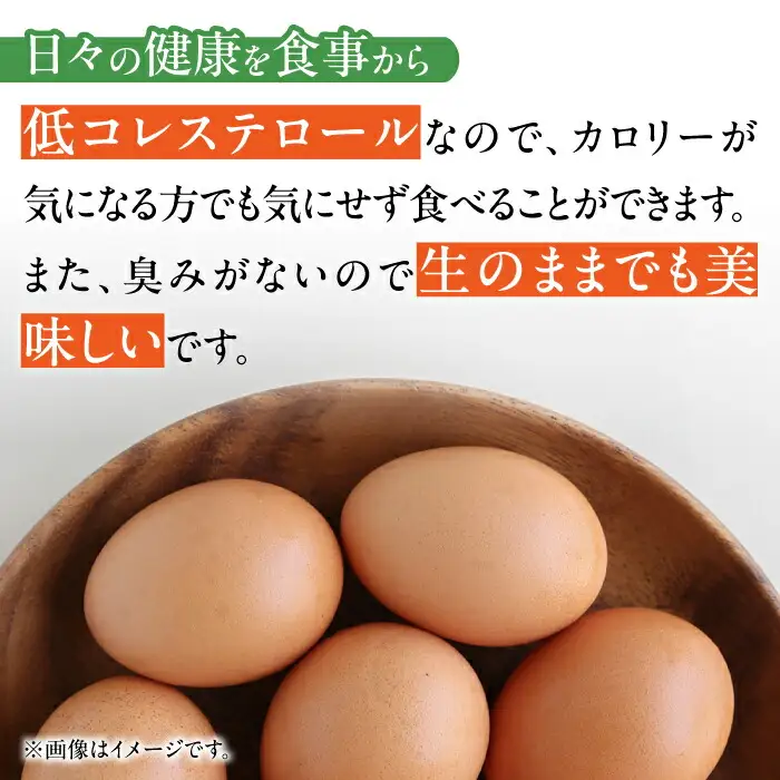 【12回定期便】きみ恋し 箱入り 60個（55個+割れ保証5個）×12ヶ月　総計720個  [AFAJ011]