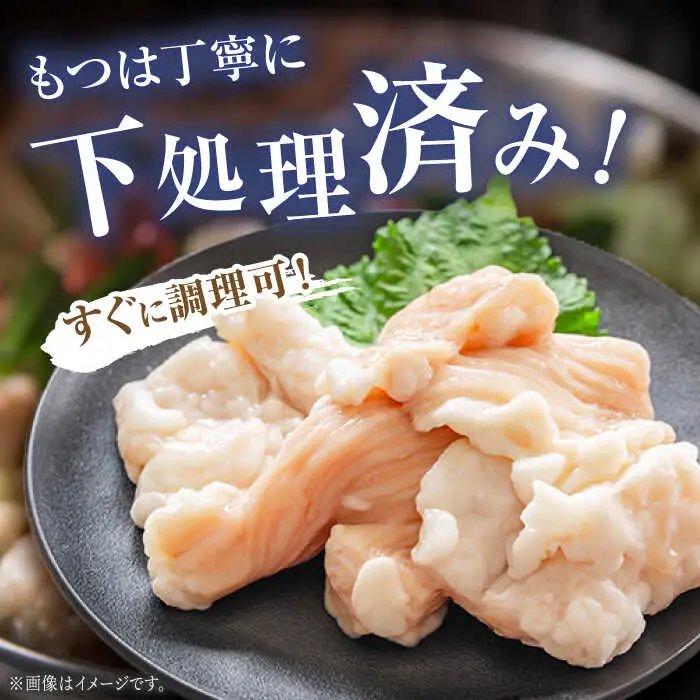 【満腹セット】博多もつ鍋（味噌） / もつ鍋 モツ ホルモン 福岡[AFAU003]