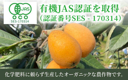 【★先行予約★ 2027年4月末発送開始】びわ 約250g(3-7個)×4パック / びわ [AFAB002]