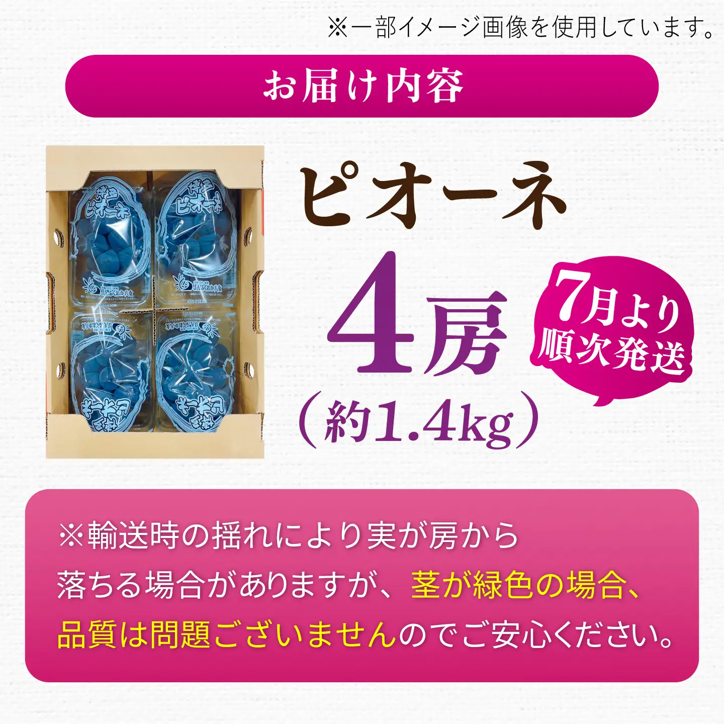 ぶどう 1.4kg ピオーネ 先行予約 2026年7月中旬より発送 | ピオーネ [AFAB047]