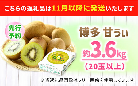 キウイ 博多甘うぃ 約3.6kg【先行予約2026年11月上旬より発送】キウイ 果物 [AFAB013]