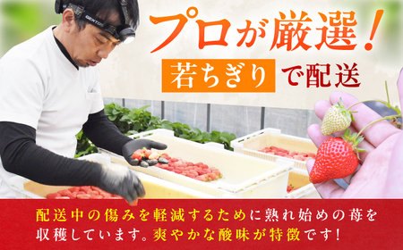 二回定期便 あまおう 270g×2【2月先行予約】[AFAB018] いちご