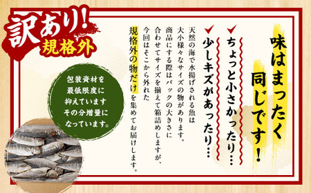 【訳あり規格外】  業務用 あじ 干物 どーんと！ 4.8kg アジ 鯵 魚