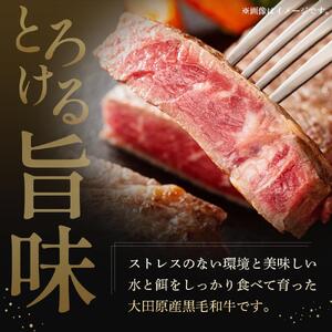 希少部位 大田原産 黒毛和牛 ヒレ ステーキ 約150g×3枚