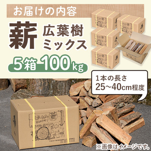 ＜数量・期間限定＞ 香川県まんのう町産 薪セット「広葉樹ミックス」(約20kg×5箱・計100kg) 国産 くぬぎ こなら 乾燥 焚火 アウトドア キャンプ 【man026】【香川西部森林組合】