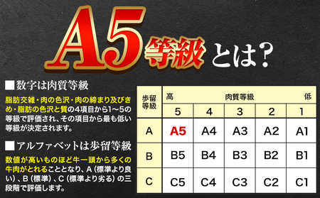 A5等級 黒毛和牛 肩ロースうす切り 約1kg 【配送不可地域あり】 