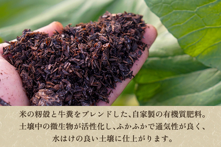 【七谷産】6種食べ比べセット5kg（M~LLサイズ）さつまいも《順次発送》人気品種 食べ比べ 濃厚な甘み 低温熟成 蒸し芋や焼き芋、スイートポテトなどのスイーツに 加茂市 YAGOROU ヤゴロウ さつまいも さつまいも さつまいも さつまいも