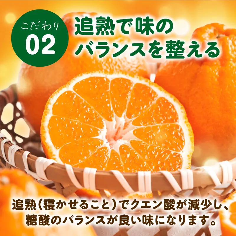 S153-001_天草産 不知火 約3kg