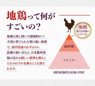 はかた地どり 炭火焼 セット100g 5p 計500g