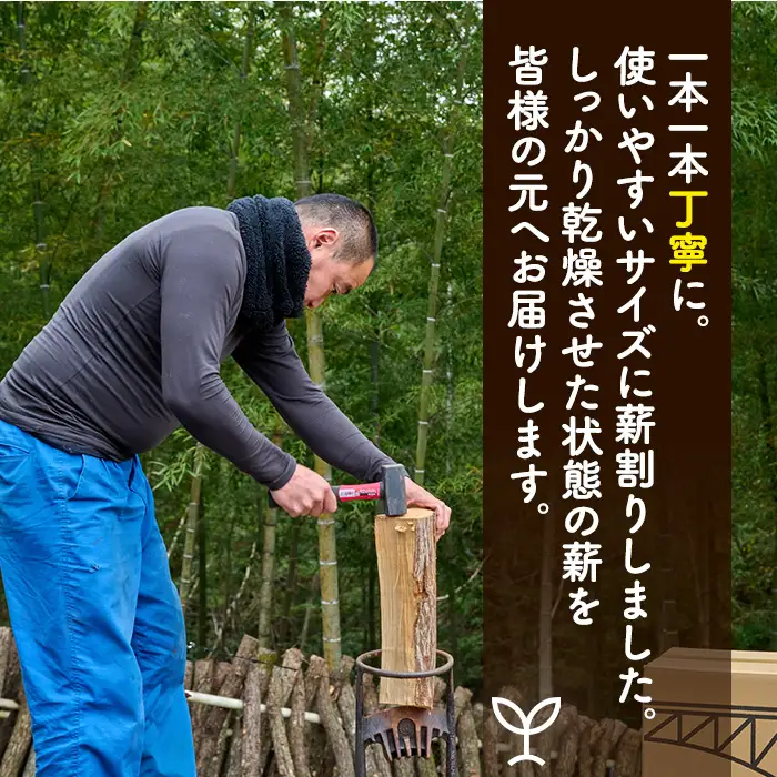 のぞみの薪（計6～8kg）まき 広葉樹 乾燥 薪ストーブ キャンプ アウトドア 焚火 焚き火 暖炉 薪風呂【FP001】【フラワーパークのぞみ工房】