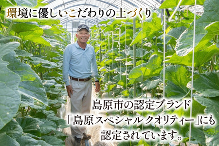 【先行予約】AA048 メロン マスクメロン 2玉入