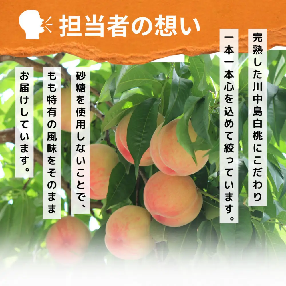 信州産 白桃ジュース 「千曲の滴」 果汁100％ (1L×4本) | ジュース 白桃 ストレート 桃