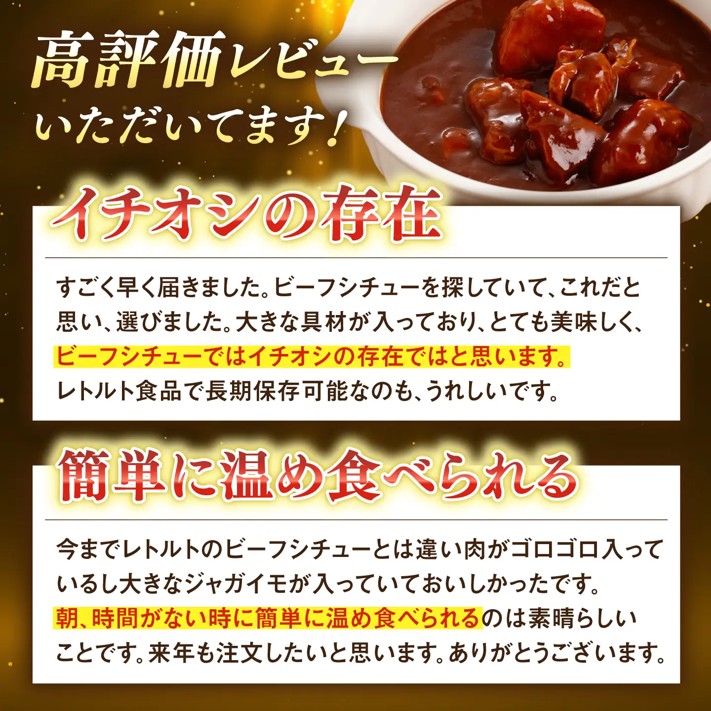 【アリアケジャパン製造】ビーフシチュー10食|シチュー[QAF009]