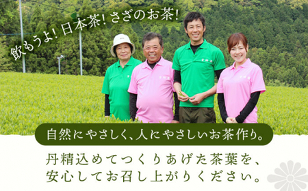 【全3回定期便】「あっさりとした有機栽培茶」さざの 有機栽培茶 芽吹き (100g×3本/回)【宝緑園】[QAH025]