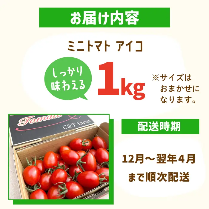 先行予約 ミニトマト アイコ 1kgトマト [C&T farm] [QBG001]