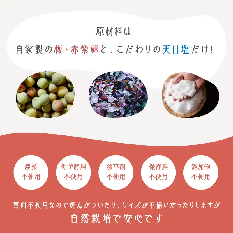 2404 昔ながらの しょっぱい おおすみ 百年 梅干 600g （ 100g×6袋 ） 塩分20% 小分け KN093-001-02 