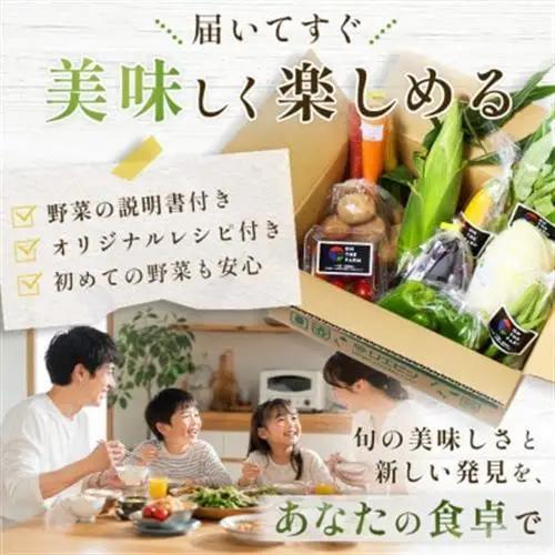 【毎月定期便】【下旬発送】こだわりの旬野菜BOX「リエビン」季節の野菜セット全12回【配送不可地域：離島・沖縄県】【4012347】