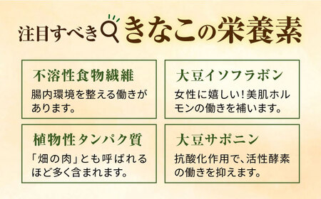 糸島 育ちの やさしい きなこ 100g×1袋 糸島市 / 糸島ボンテール農園 [ACO001] 大豆 きな粉