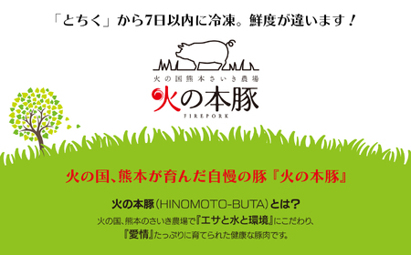 【定期便12回】火の本豚 満喫セット（ ロース 切り落とし ミンチ ） 1350g 豚肉