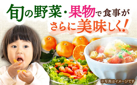 定期便 旬の農産物 全5回 定期便 [ACAA120]