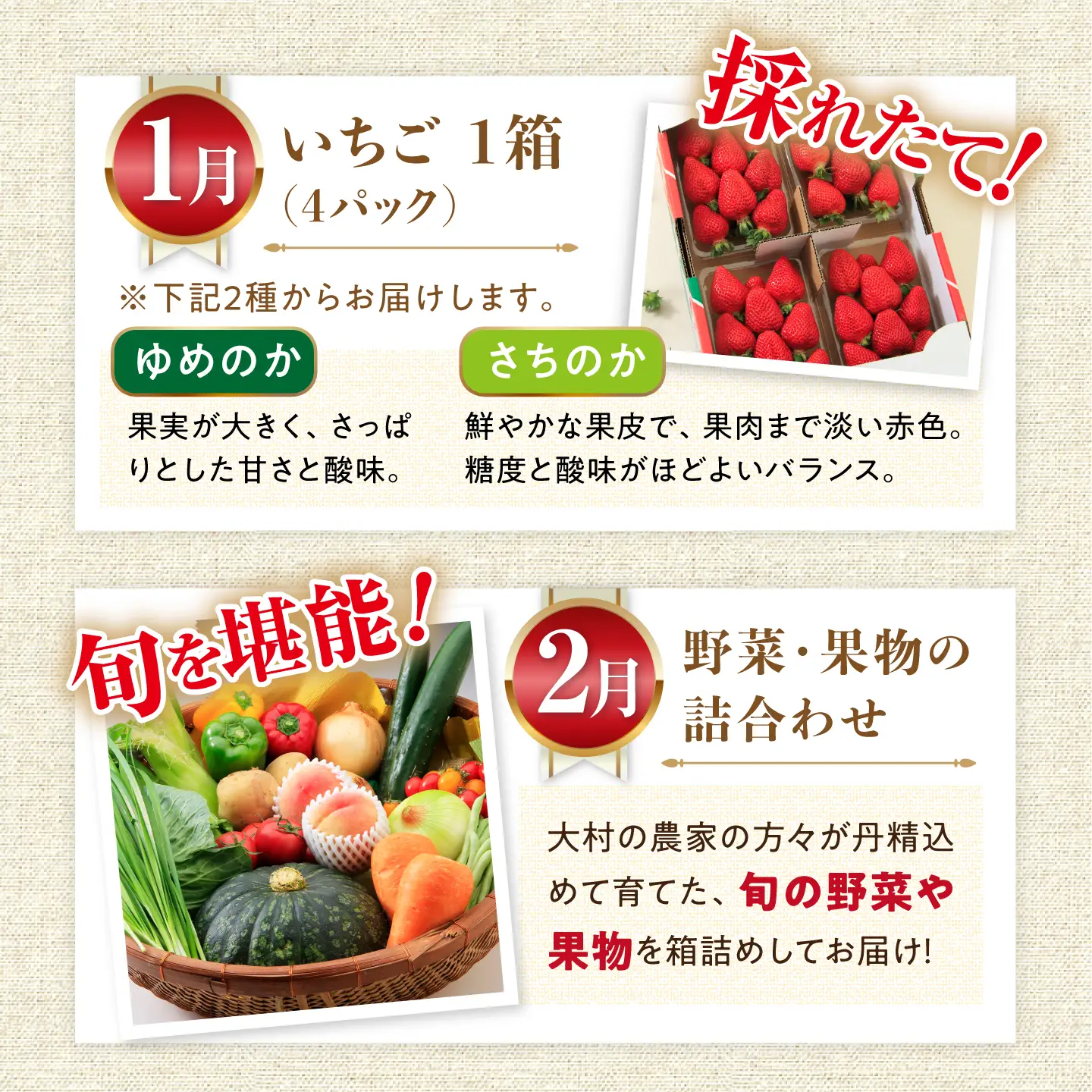 バラエティ定期便 12回 大村市産定期便  [ACAA122]