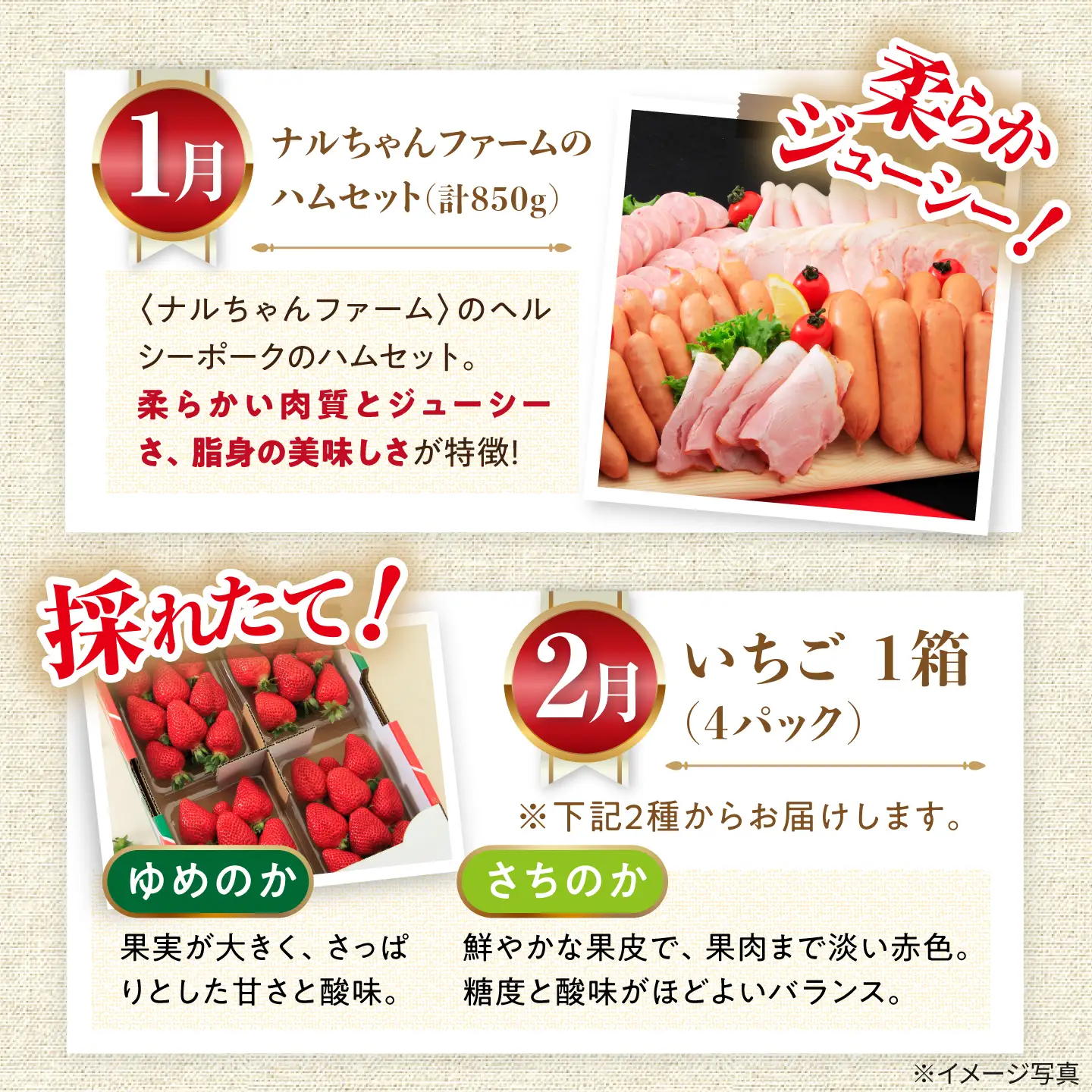 バラエティ定期便 人気セレクトBコース 12回 大村市産  [ACAA123]