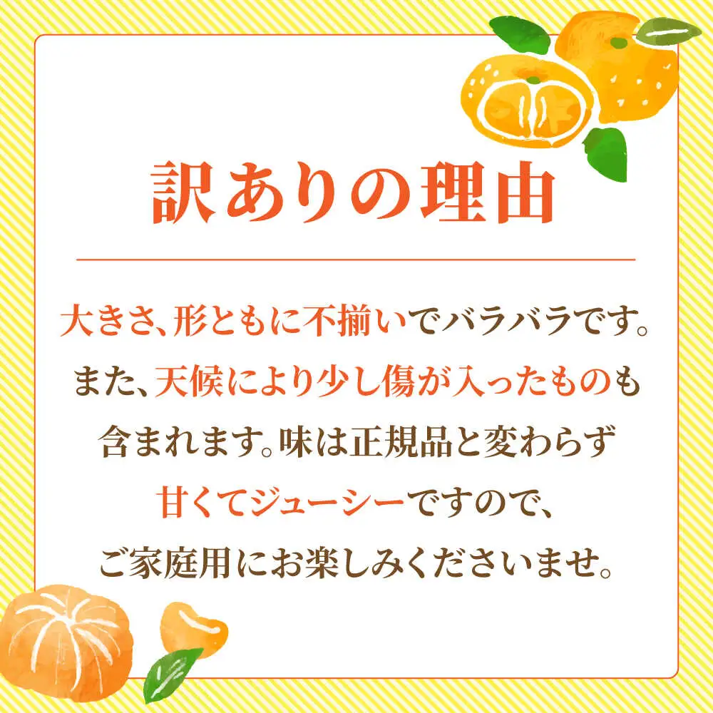 【先行予約】【2回定期便】【訳あり】家庭用 みかん 約5kg 詰め合わせ 柑橘【合同会社 社方園】[ZBZ034]