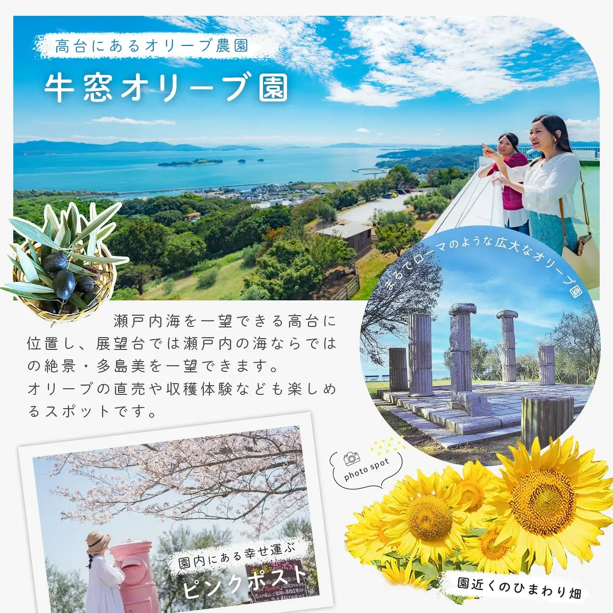 【無洗米】 岡山県産 西大寺にこまる 5kg×2袋 お米 米 コメ 無洗