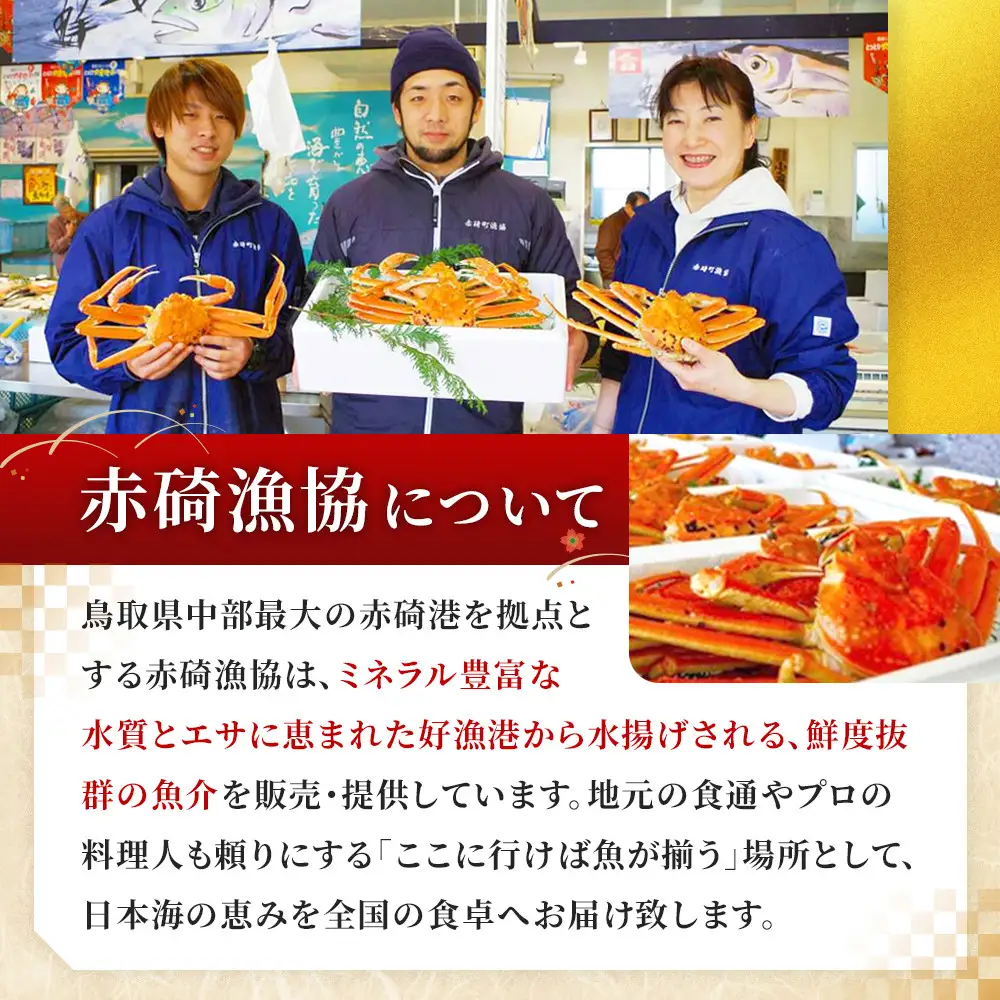 松葉ガニ 先行予約 ボイル 2枚 年内配送 松葉ガニ