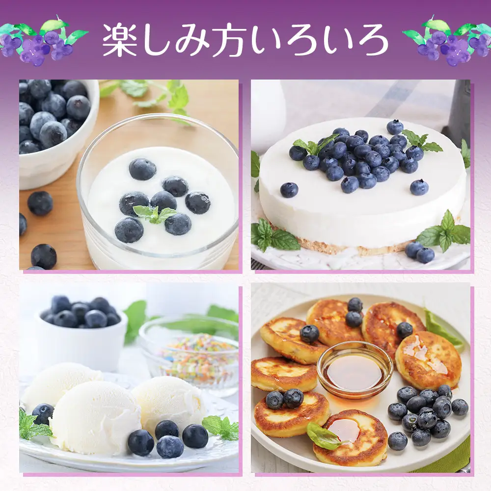 ブルーベリー 先行予約 2026年6月下旬以降発送 琴浦町産 生ブルーベリー１kg（250g×4パック）