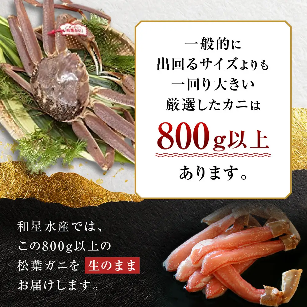 【先行予約】松葉がに 訳アリ ボイル 2枚 計 1.6kg 以上 年明け配送 松葉がに