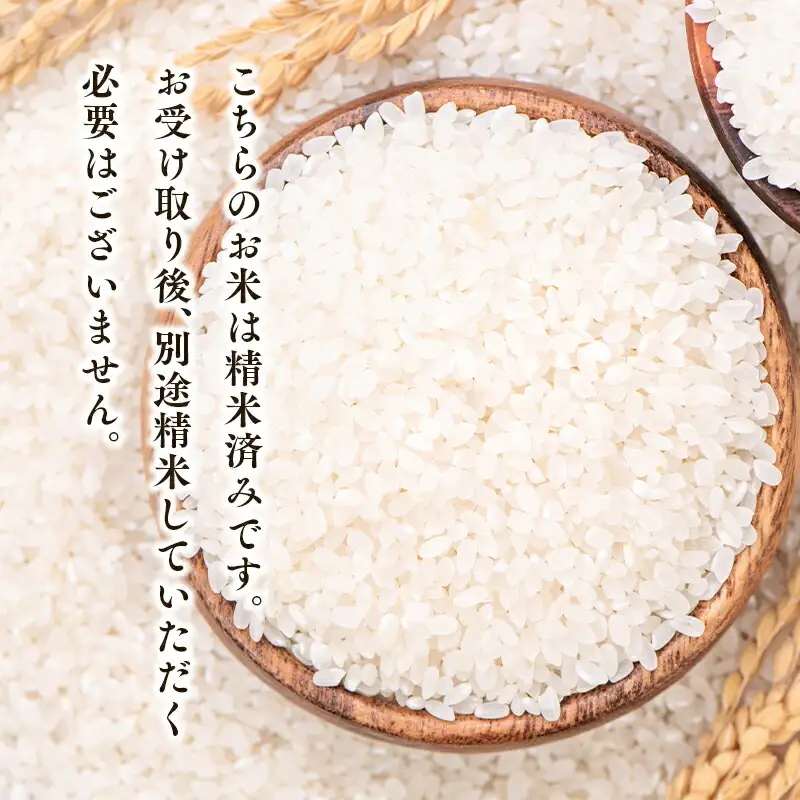 青天の霹靂白米 5kg 特A米 特A 青森県産[hi-0002-001]