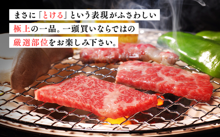ひらかわ牛 焼肉用特上カルビ約700g
