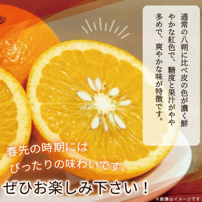 【先行予約】紀州有田産木成り完熟紅八朔８kg ※2027年2月下旬頃〜3月中旬頃に順次発送予定（お届け日指定不可）/ みかん 不知火 和歌山 フルーツ 有田【uot795】