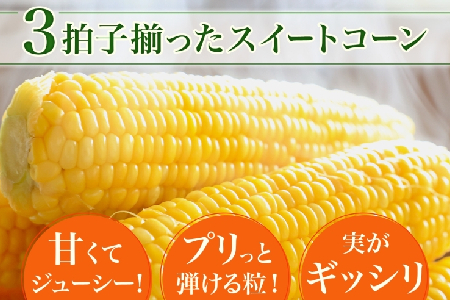 【ふるなびWEEK対象】とうもろこし 10本 スイートコーン トウモロコシ コーン 甘い 採れたて 朝採り 野菜 旬の野菜 農作物 お取り寄せ 北海道産 産地直送 北海道 美深町 
