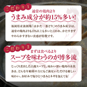 まるいち 水炊きセット（骨付き鶏肉・つみれ）2人前 _KMS0306