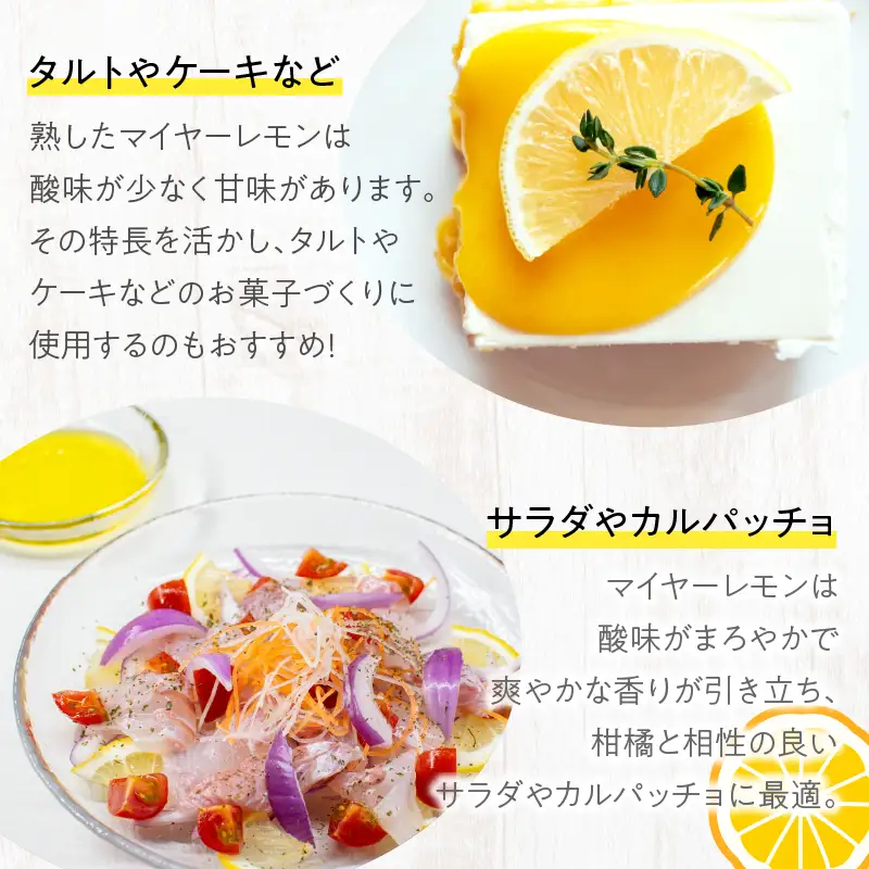 先行予約 都農町産さくらレモン(マイヤーレモン)計2kg フルーツ 果物 柑橘 レモン 国産_T002-0035