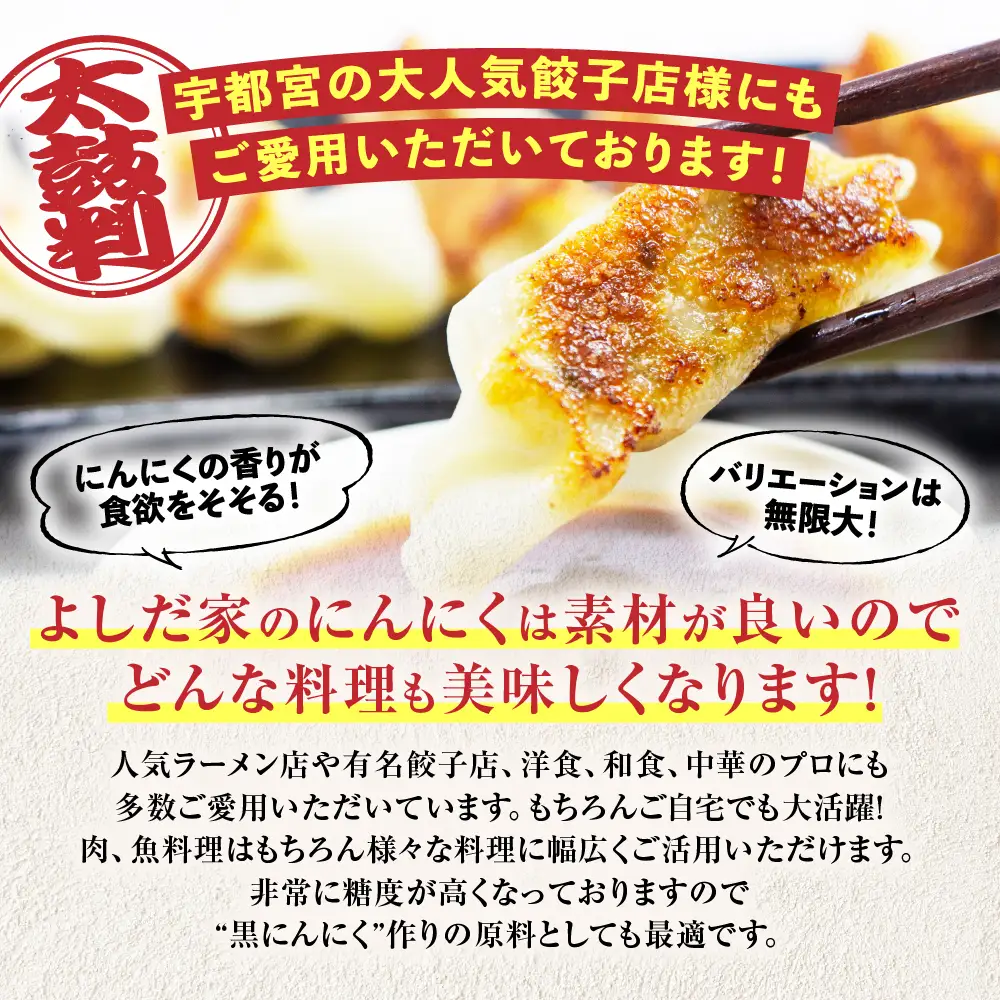 青森県産にんにく 大サイズ 800g 福地ホワイト にんにく