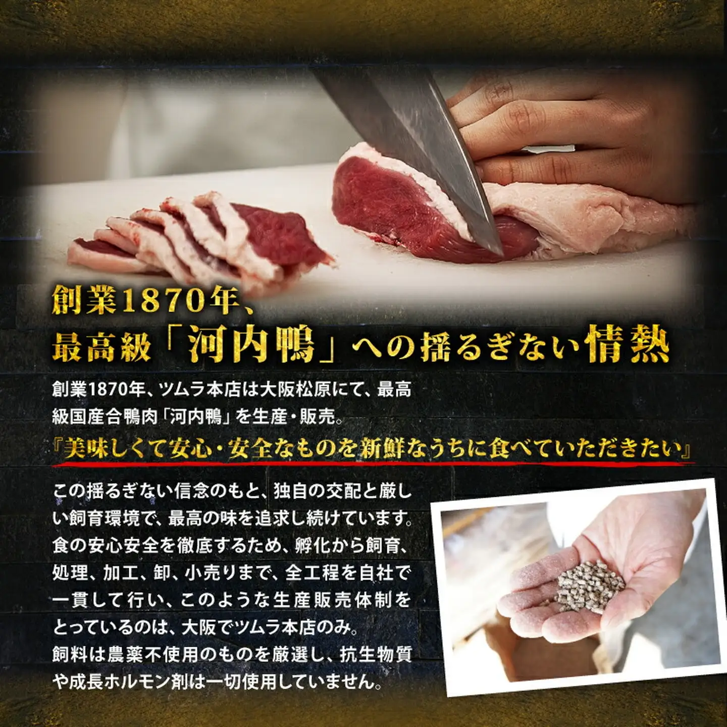【河内鴨 ツムラ本店】 もも肉ハンバーグ 100g×4個 (計400g) 国産 鴨肉 ハンバーグ