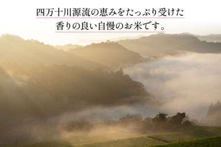 米 大わらじの里 宮谷 山のお米 五分搗き 胚芽米 3kg