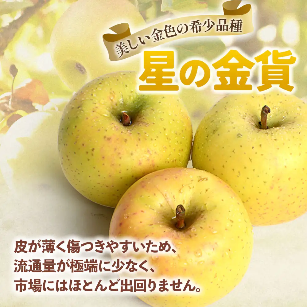 【ふるなびWEEK対象】青森県産りんご サンふじ＆星の金貨 セット 約5kg 11月中旬～